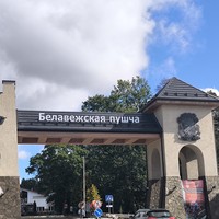 reviews img