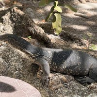 Фото отзыва 1: экскурсия "Симиланы: на скоростном катере из Пхукета"