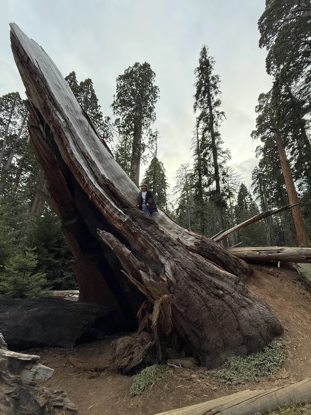 Классное место, место силы и восторга 🔥.