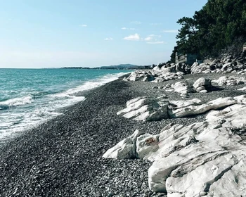 Фото отзыва 1: авторский тур "Новый год по-абхазски: душевное застолье с развлекательной программой и лучшие локации"
