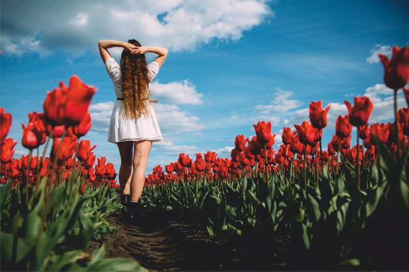 Из Минска — на самое большое тюльпановое поле страны