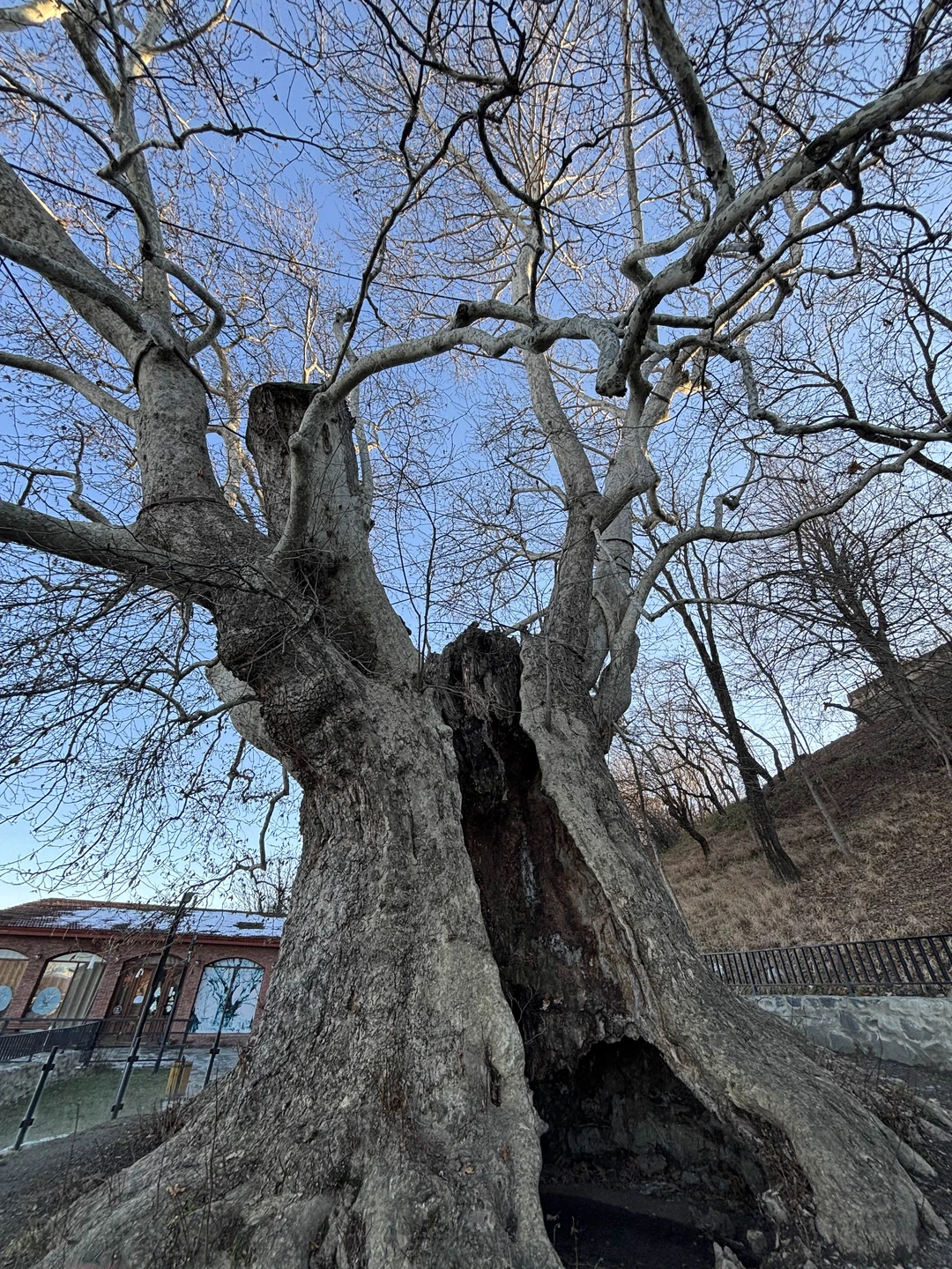 Изысканные вкусы Кахетии: из Тбилиси - в винные места (в группе) (Диана)