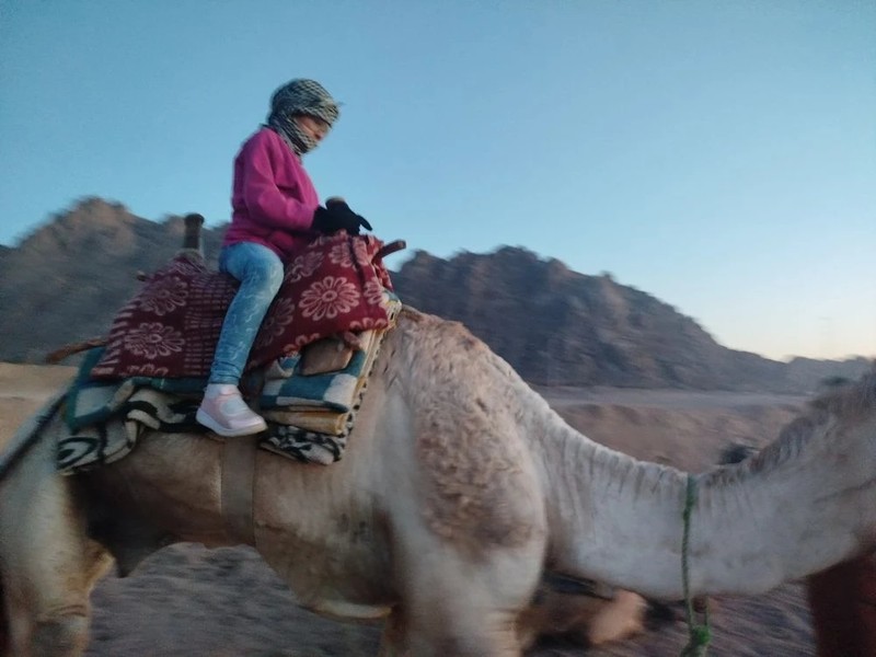 спасибо большое. всё очень-очень понравилось) покатались на квадриках и на верблюдах, встретили рассвет и попили чаю