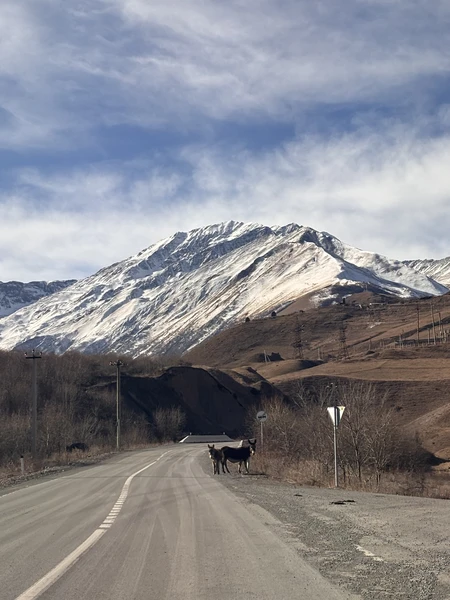 путешествовали с Артуром, все очень понравилось! посмотрели множество красот в комфортном и безопасном формате, обязательно вернёмся еще!