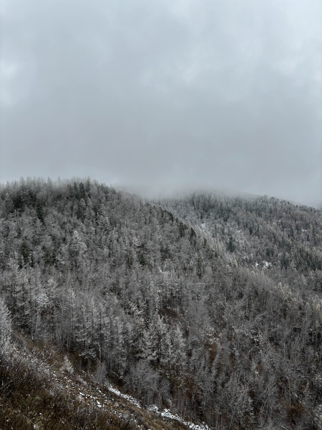 Ваше идеальное путешествие по Горному Алтаю: тур-конструктор (Анна)