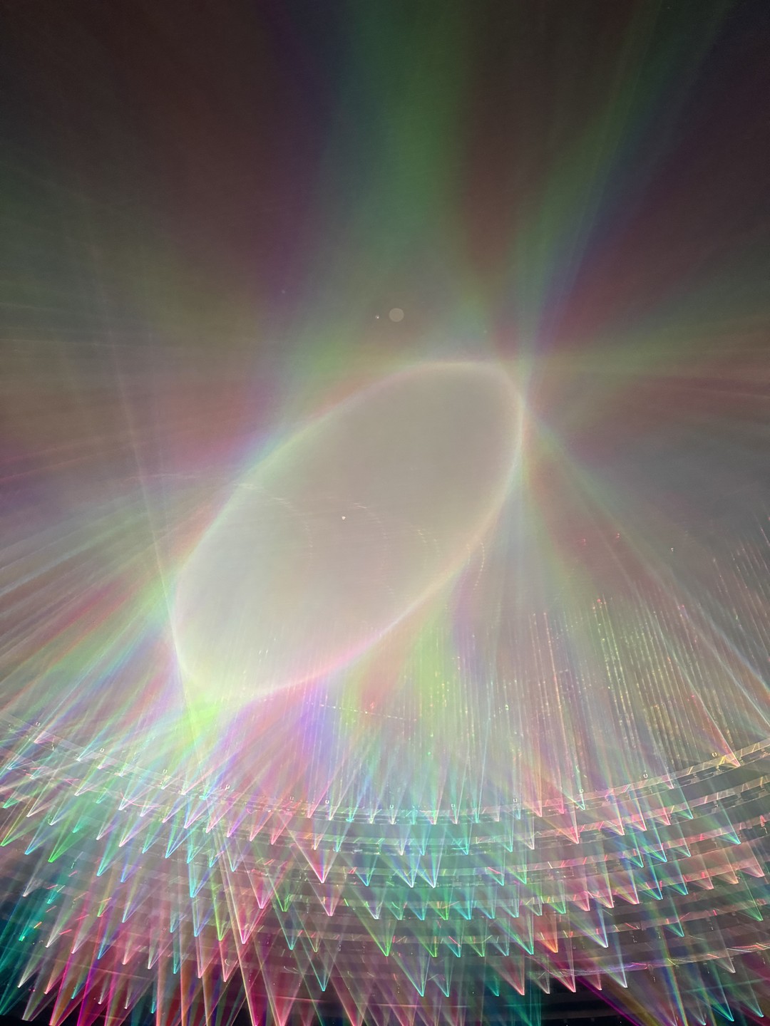 1 день в Абу-Даби: главные достопримечательности (Дарья)