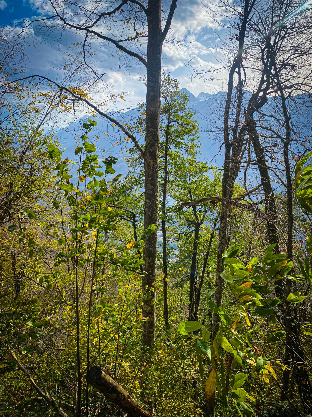 Отличная экскурсия на небольшую группу, уровень сложности маршрута средний, местами неподготовленным может быть сложно, но таких