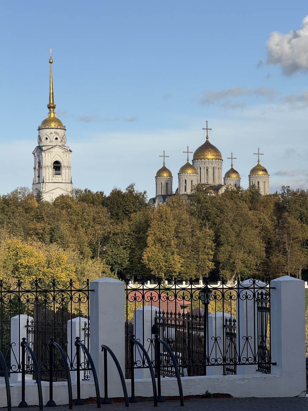 Владимир сквозь столетия (Татьяна)