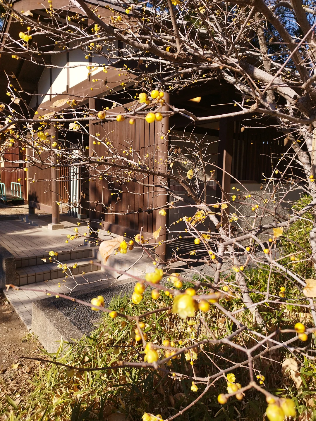 Прекрасно провели время. Елена великолепно знает материал, в доступной форме доносит информацию. Маршрут составлен очень удобно