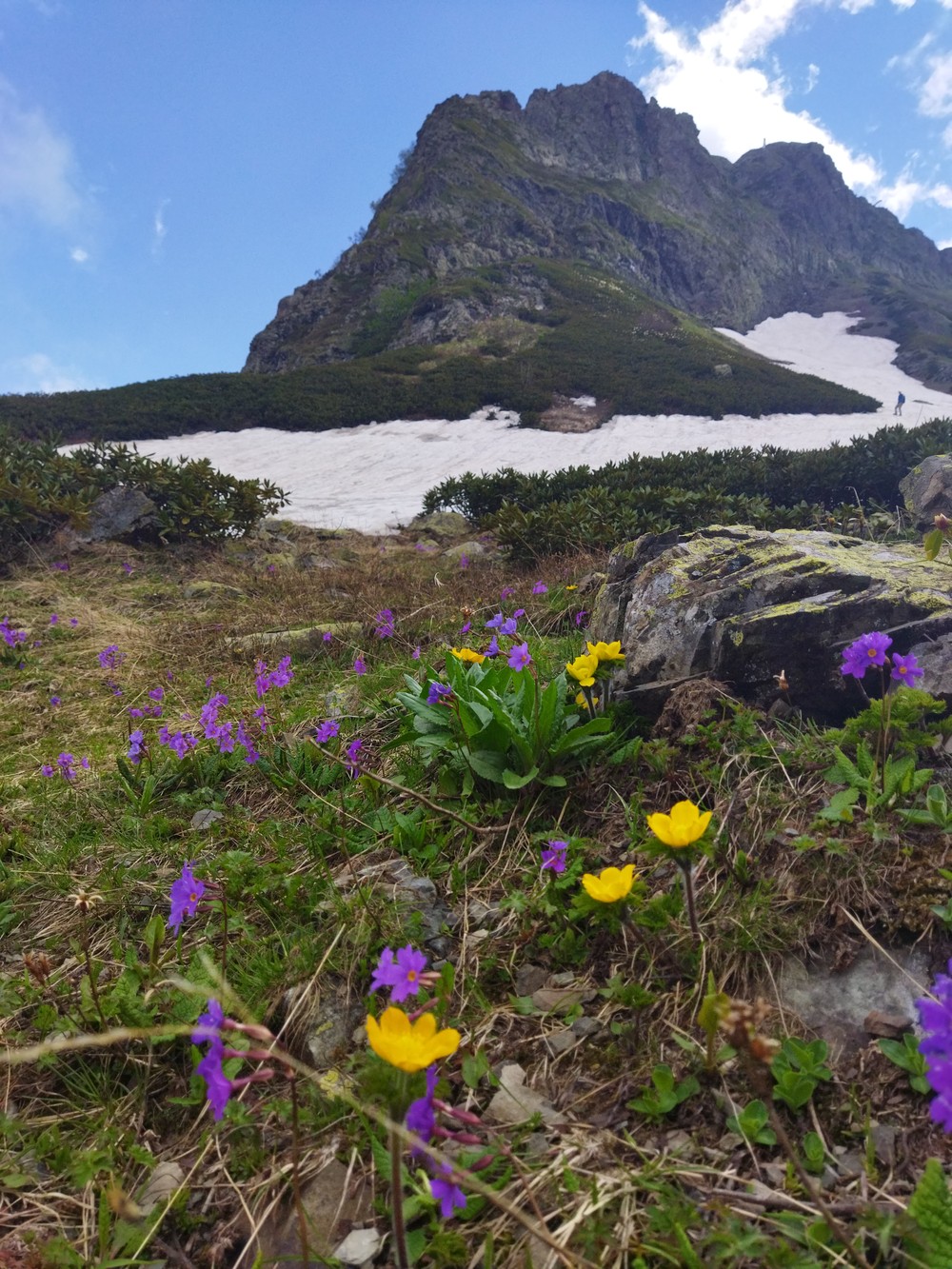 Из Сочи — в горную сказку (19/20)
