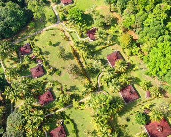 День трансфера