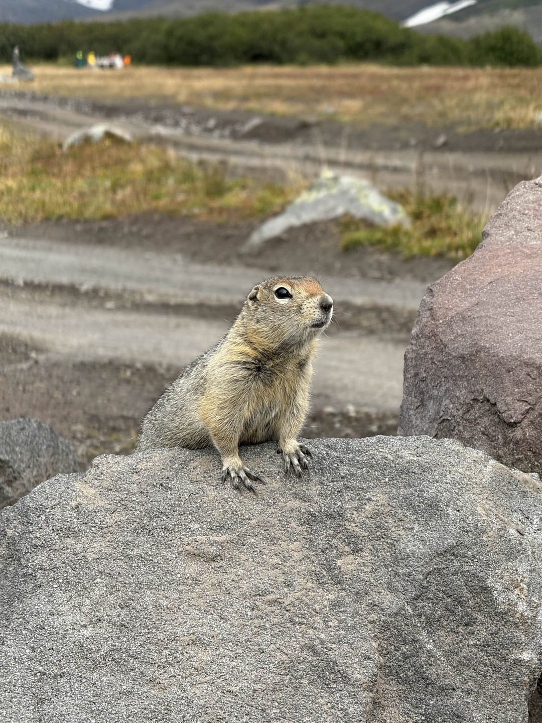Спасибо Александру за отличную экскурсию, нам очень повезло с гидом! Экскурсию для нас проводил настоящий профессионал,