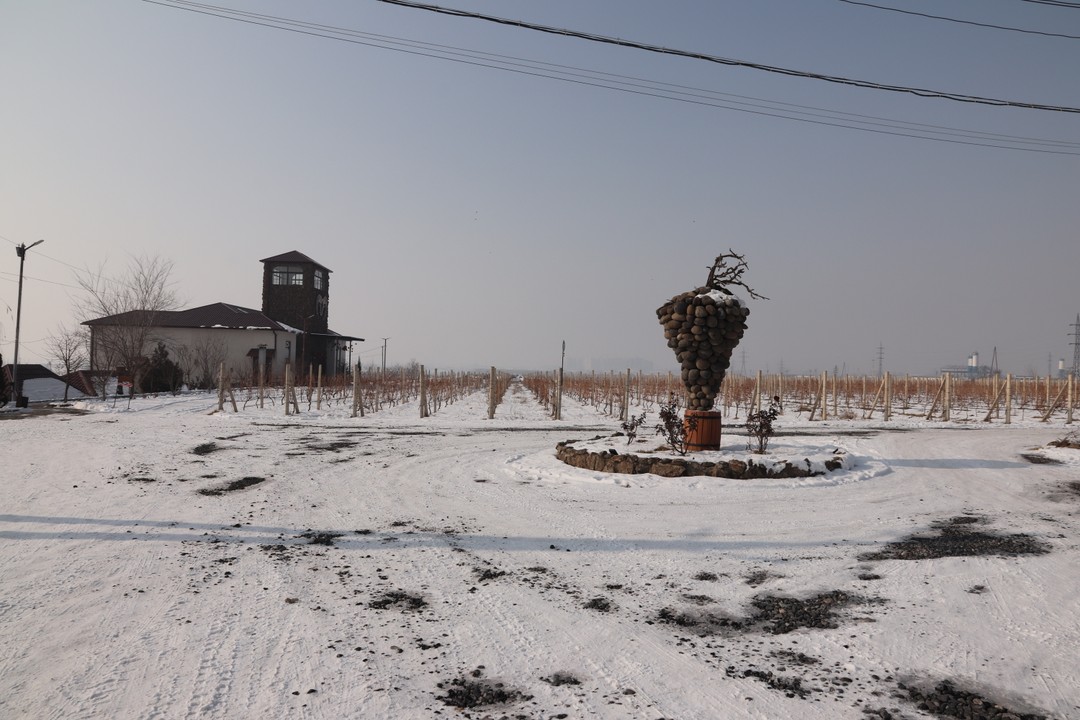 Марз Армавир: храмы и вино (Сергей)