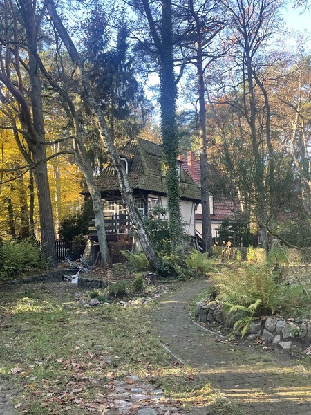 К курортам Светлогорск и Янтарный (с посещением янтарного производства) (Марина)