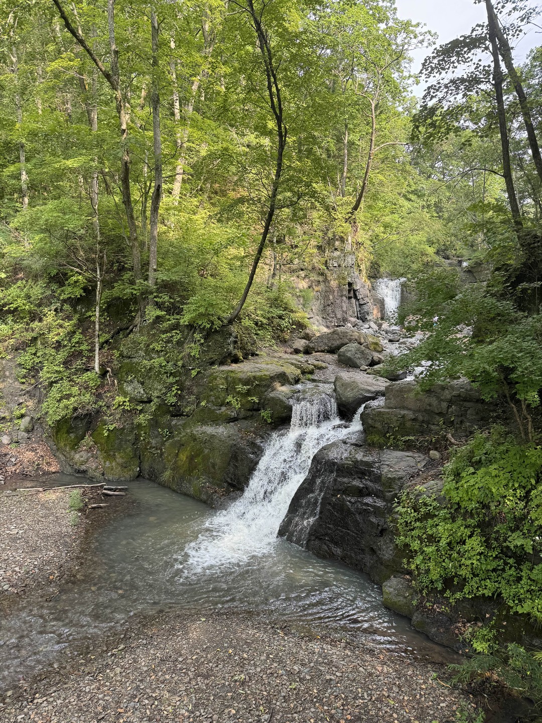 Все было хорошо! Спасибо