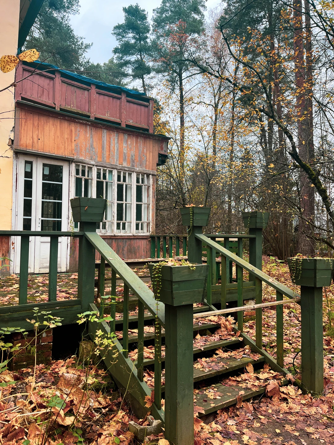 Переделкино с местным жителем и членом Союза писателей (Светлана)