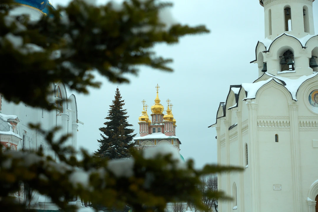 Очень благодарны Михаилу за интересную и познавательную экскурсию. Несмотря на февральскую метель, экскурсия прошла по плану