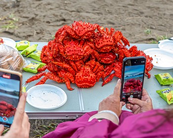 Окончание тура