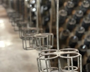 Фото отзыва 3: авторский тур "Винная карта Краснодарского края: дегустационный тур с гастрономическими обедами"