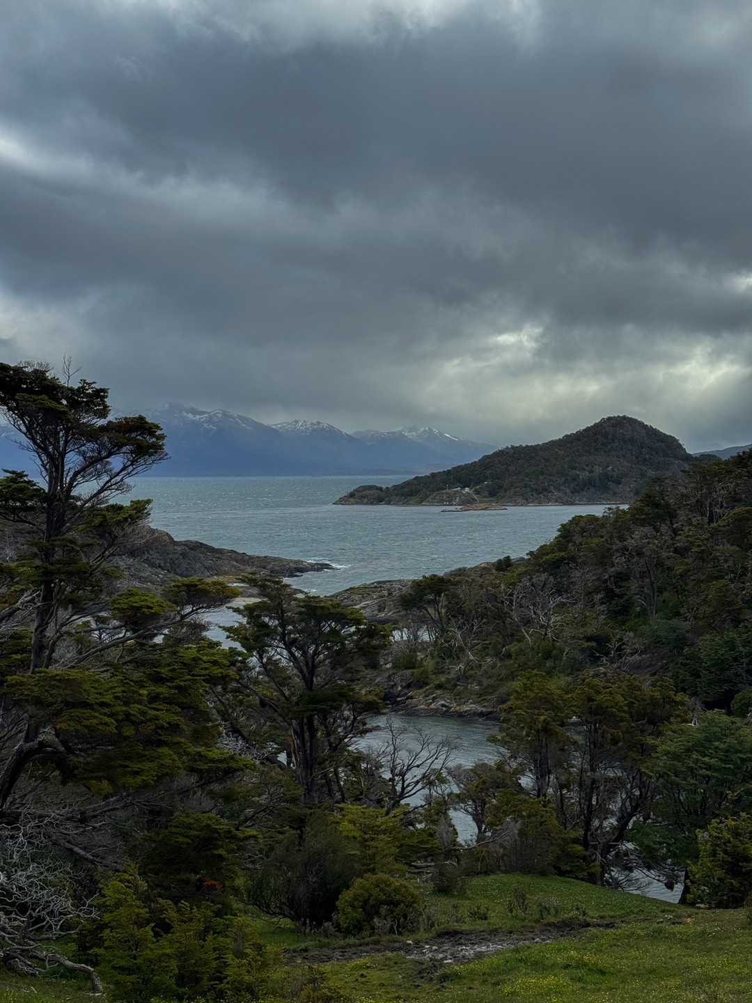 Благодарны Дмитрию за пунктуальность, заинтересованность в нашем комфорте, погружение в красоты Патагонии, внимательность к деталям и