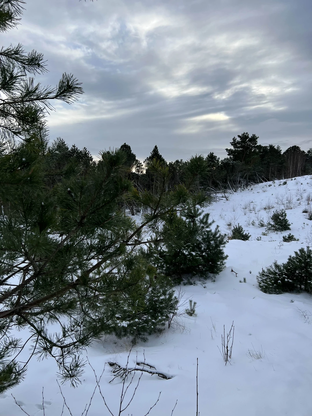 Очень понравилась экскурсия, несмотря на то, что есть пеший маршрут - совершенно не напряжная для всех