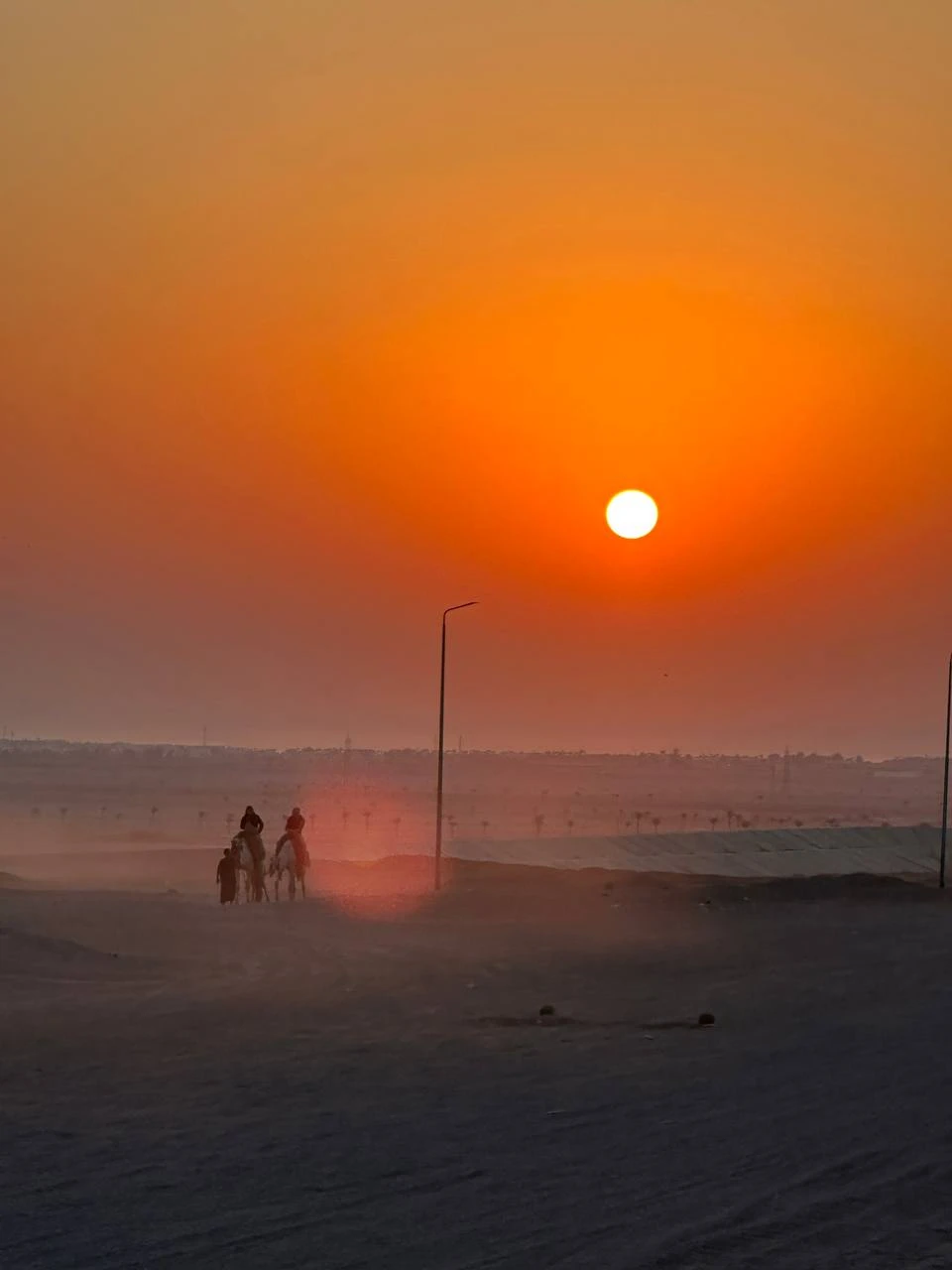 Все очень понравилось!