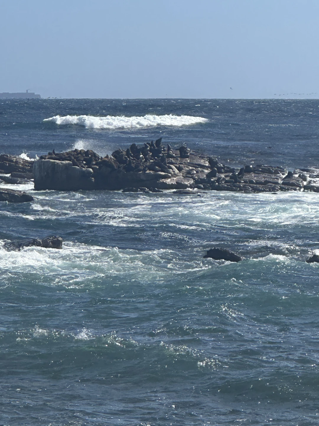Мы отлично провели день в поездке с Игорем! Брали несколько экскурсий, его была одной из лучших.