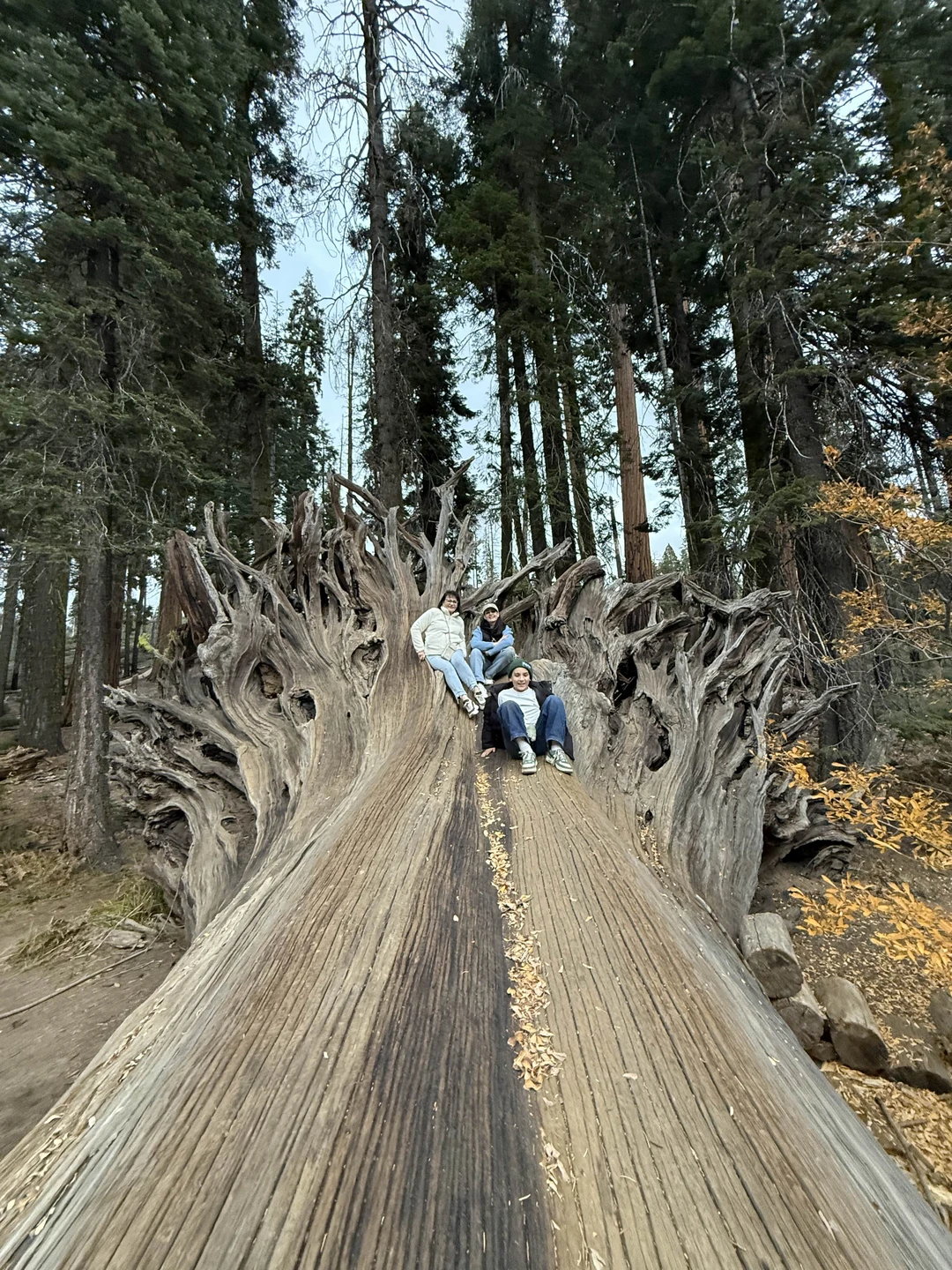Классное место, место силы и восторга 🔥.