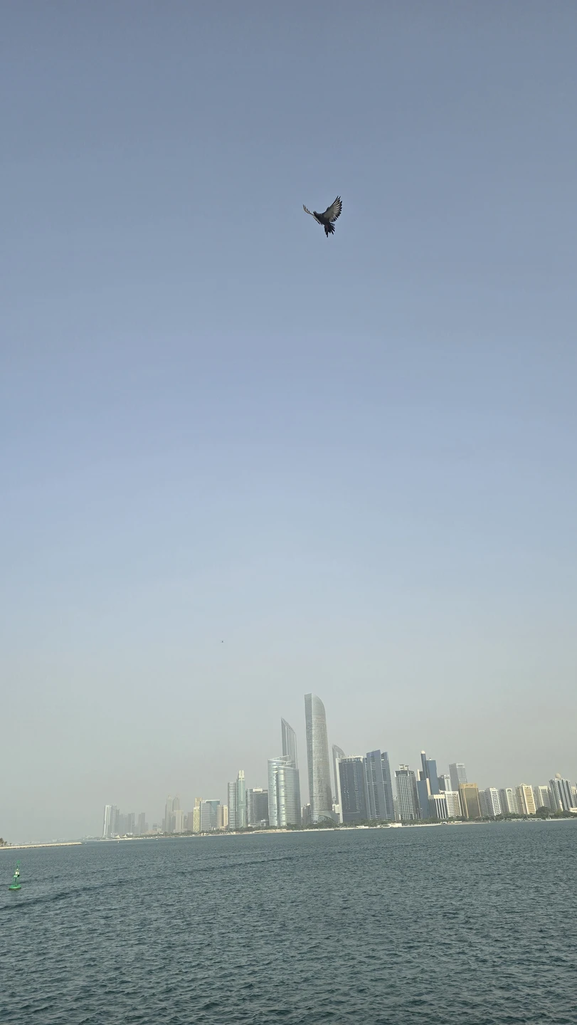 Из Дубая - в сказочный Абу-Даби на 1 день (Екатерина)