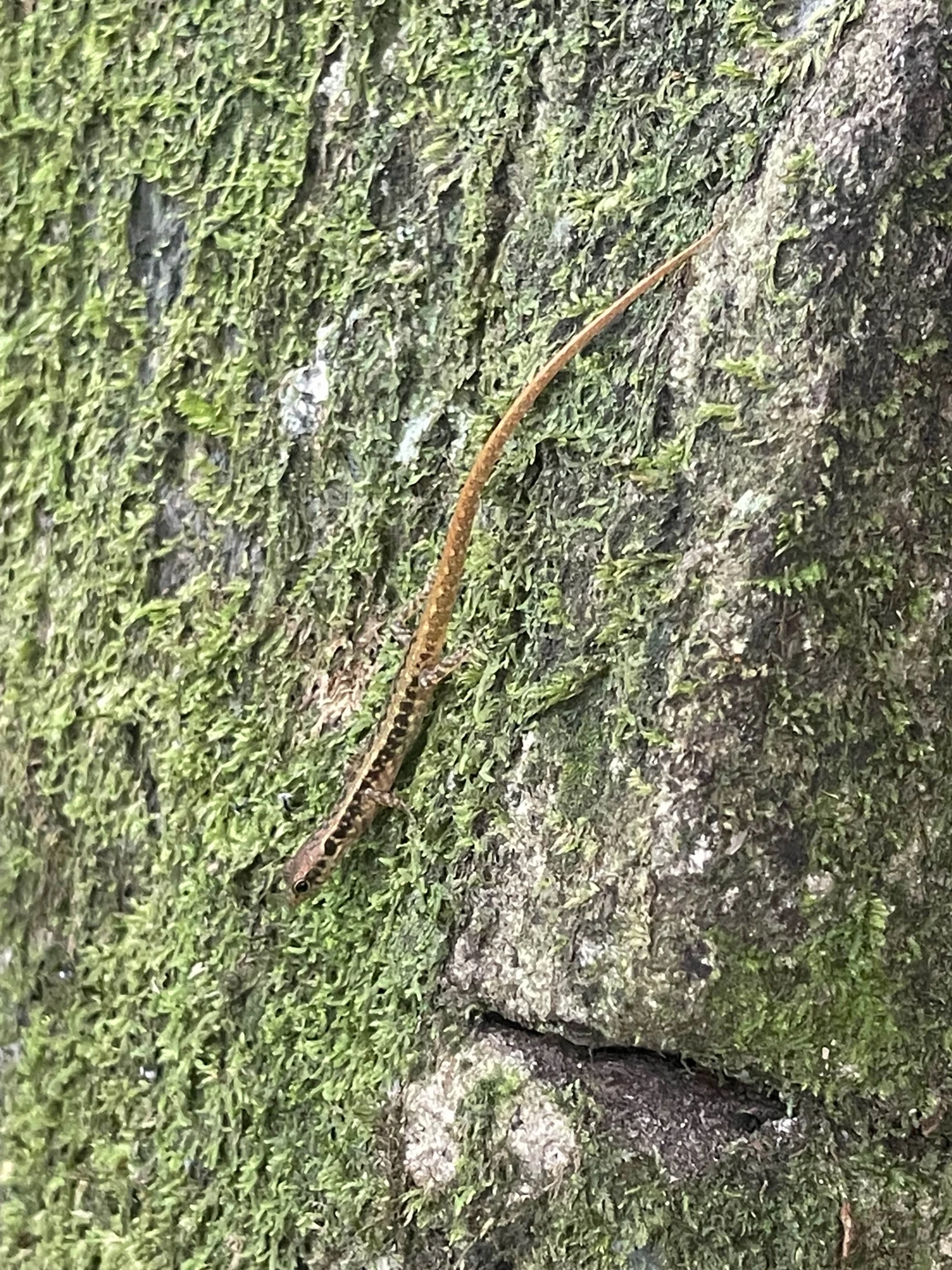 Потрясающая экскурсия!