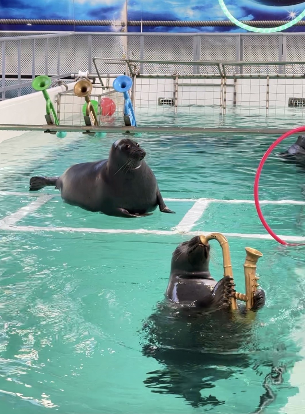 Листвянка — это идеальные «ворота» к величию Байкала, где за пару часов из Иркутска попадаешь в