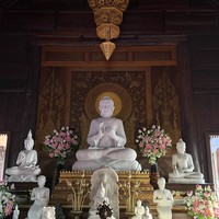 Фото отзыва 1: экскурсия "Сказочный мир Аватара и деревня слонов на Пхукете"