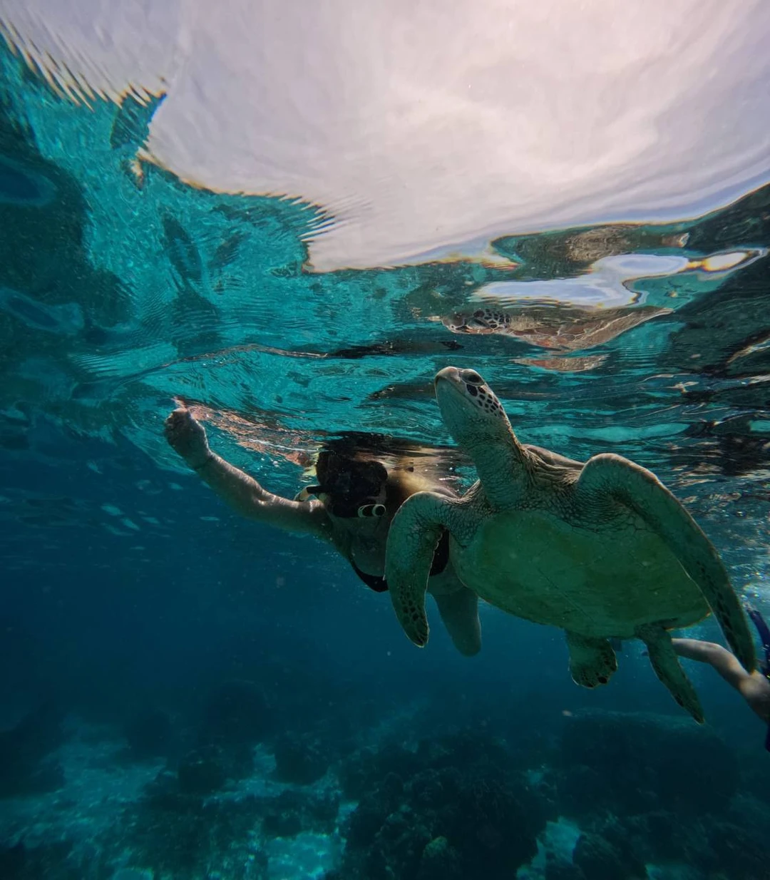 Большое спасибо за подаренные искренние, настоящие эмоции - я словно снова вернулась в детство. Подводный мир