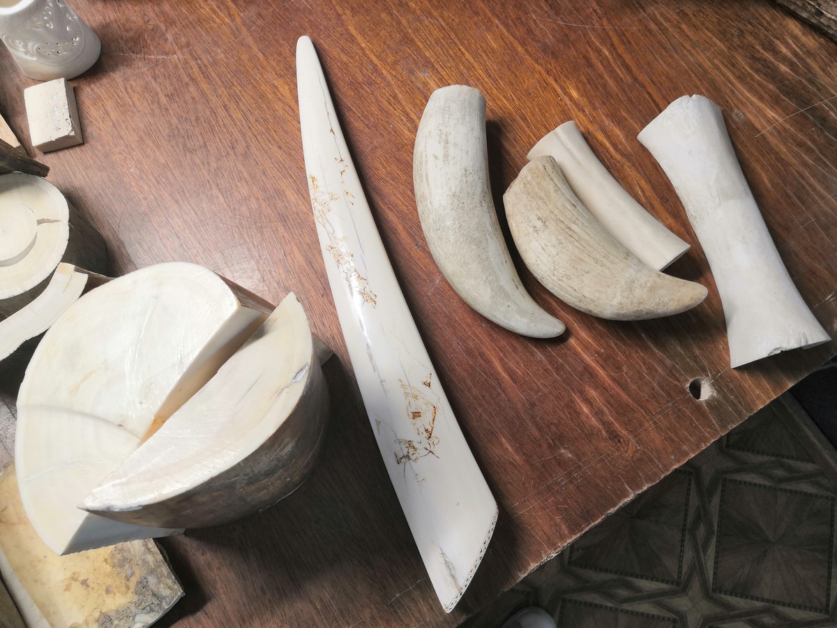 Туда, где родился Ломоносов. В Холмогоры! (14/14)