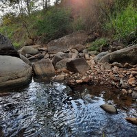 Фото отзыва 4: экскурсия "Нувара-Элия и&nbsp;Элла: двухдневное путешествие к&nbsp;высокогорным курортам"