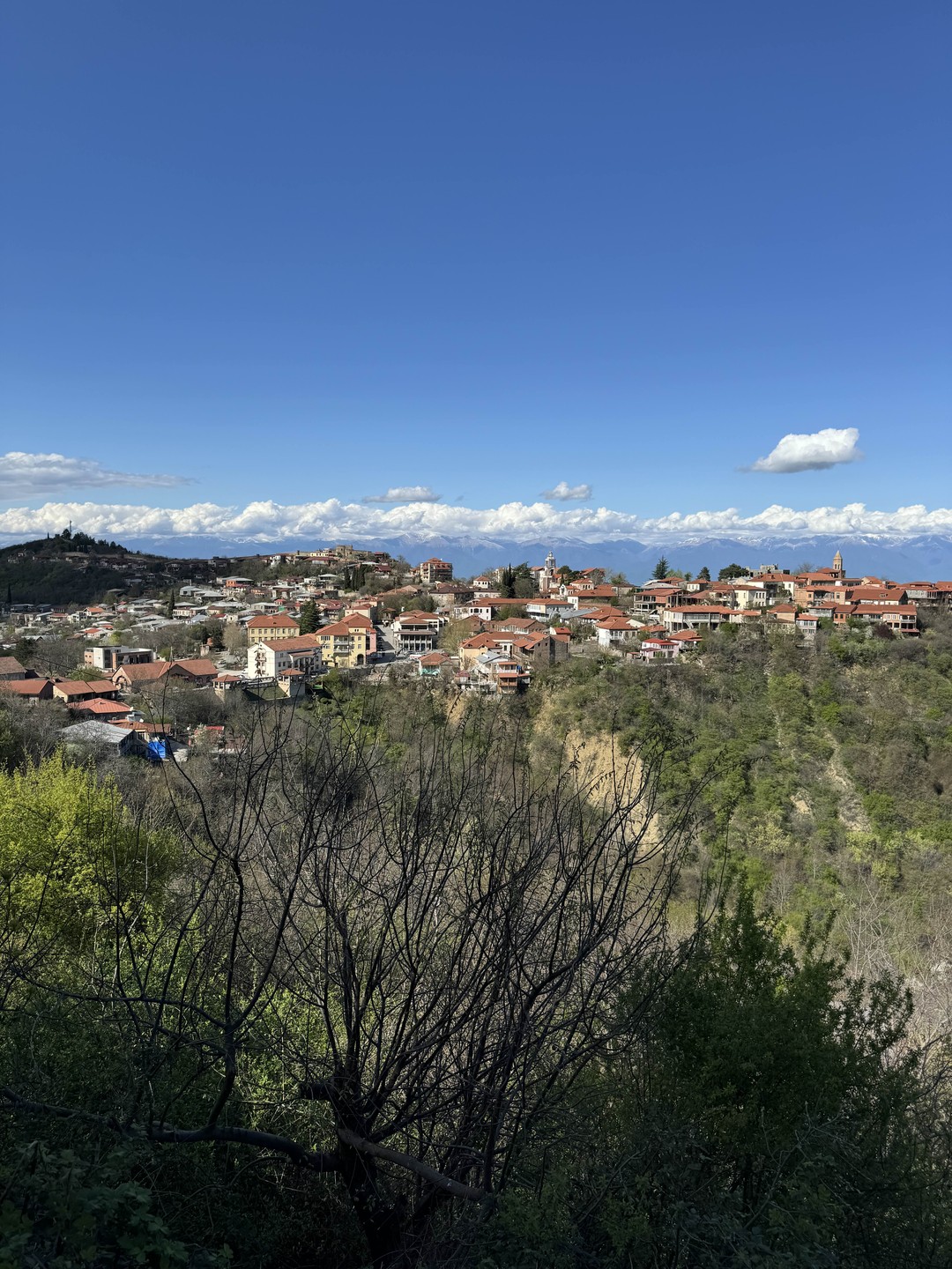 Кахетия от К до Я (Вероника)