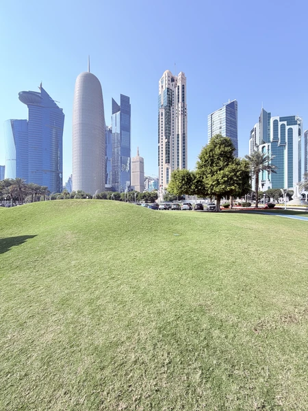 Всем добрый вевер! Когда выбрал Фираса, не пожалел ни на секунду. Прекрасное знание страны, обычаев и