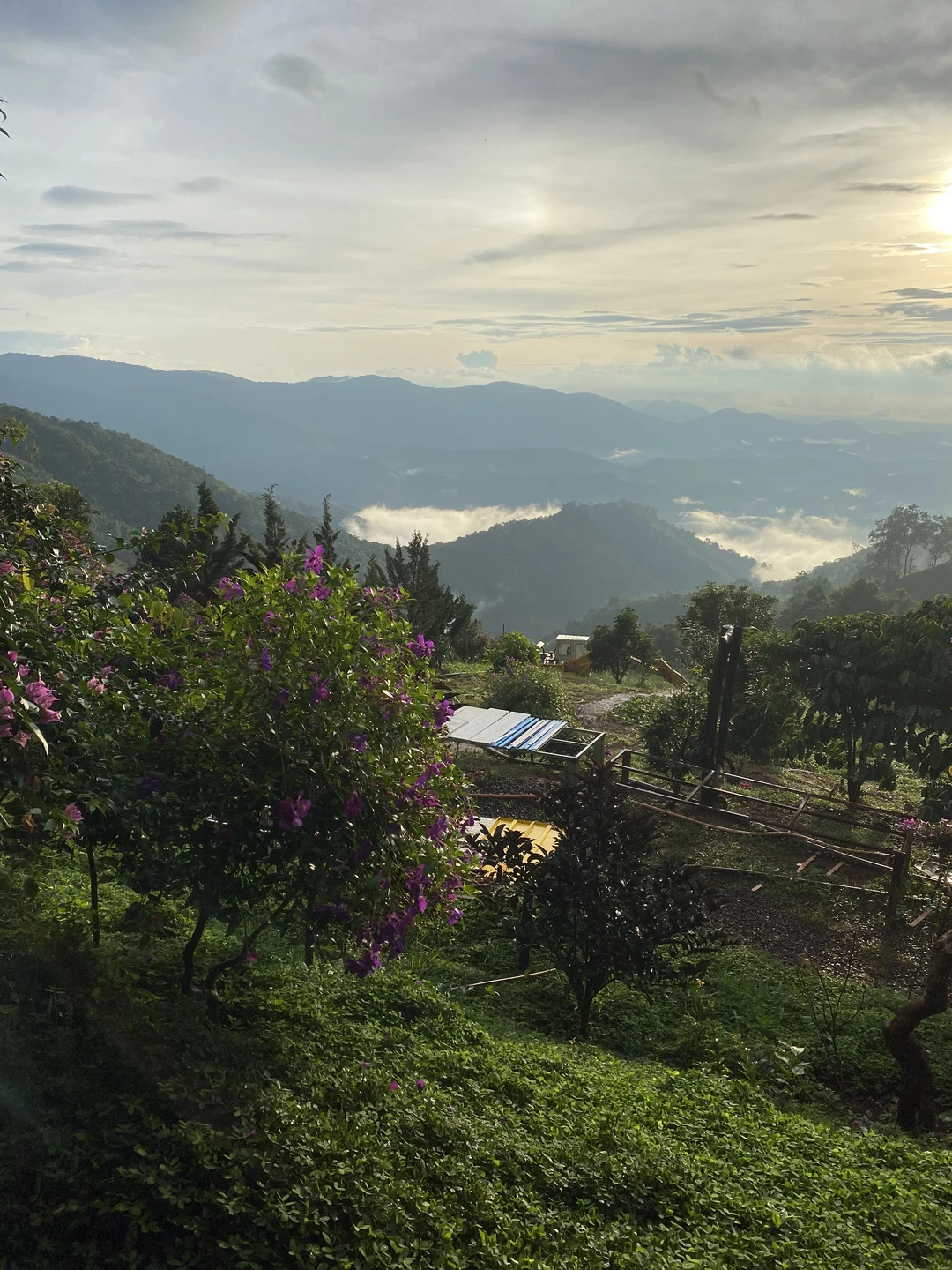 Экскурсия понравилась по всем параметрам. Михаил отличный гид, ориентирован на гостей, интересующую информацию подаёт понятно и