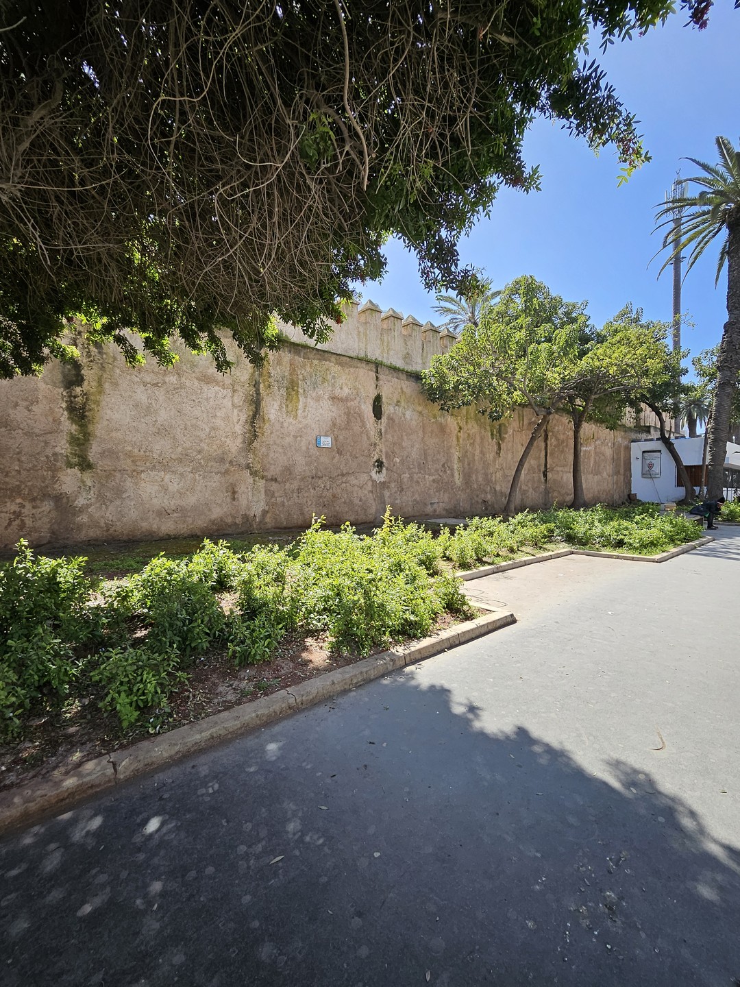 Алекс - отличный экскурсовод и интересный рассказчик. Экскурсия была в комфортном ритме. Узнали много интересных фактов