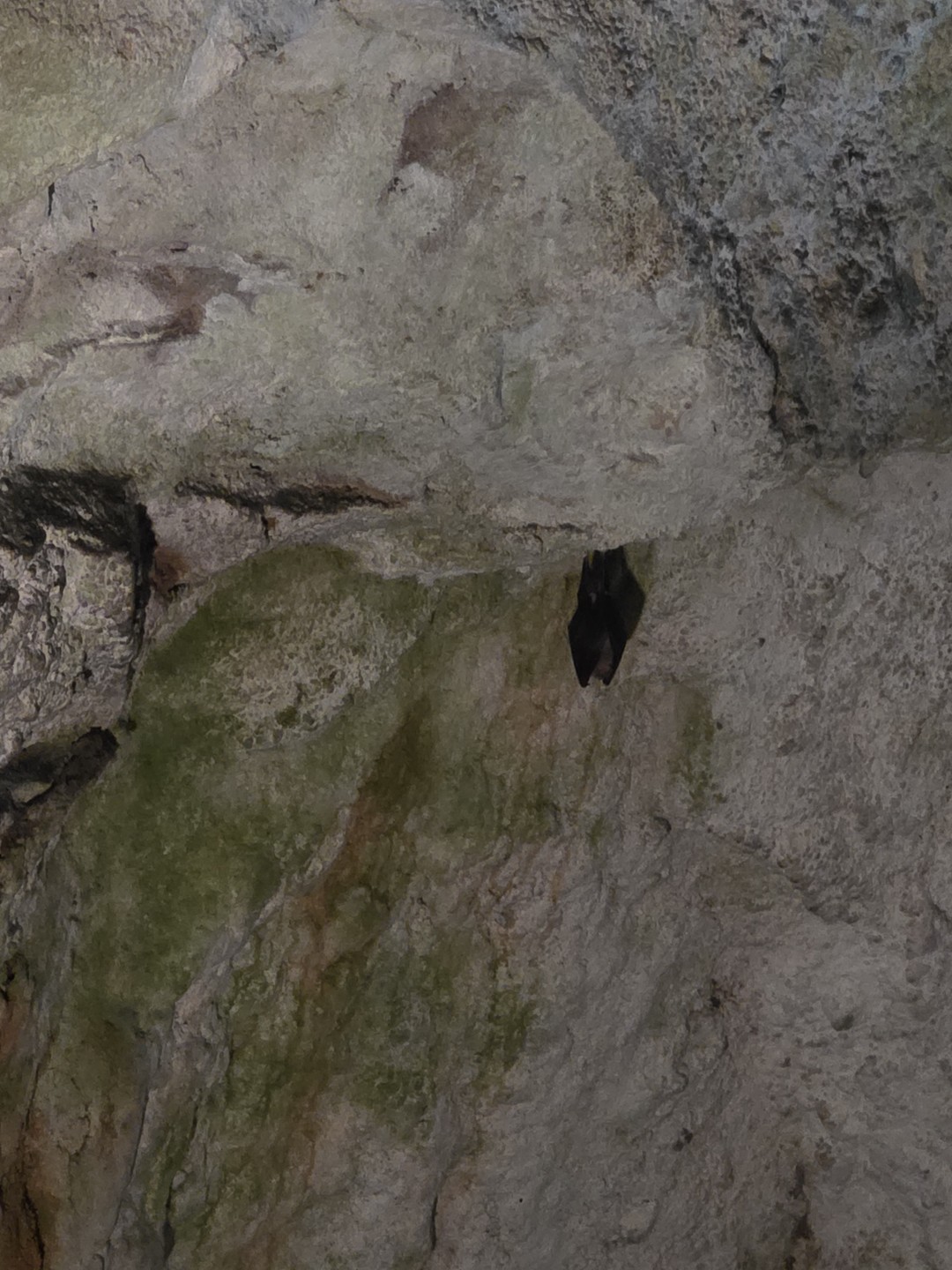 Прекрасное сопровождение! Долгая поездка была комфортной. Вам предложат "зеленые остановки", есть вода в машине для каждого