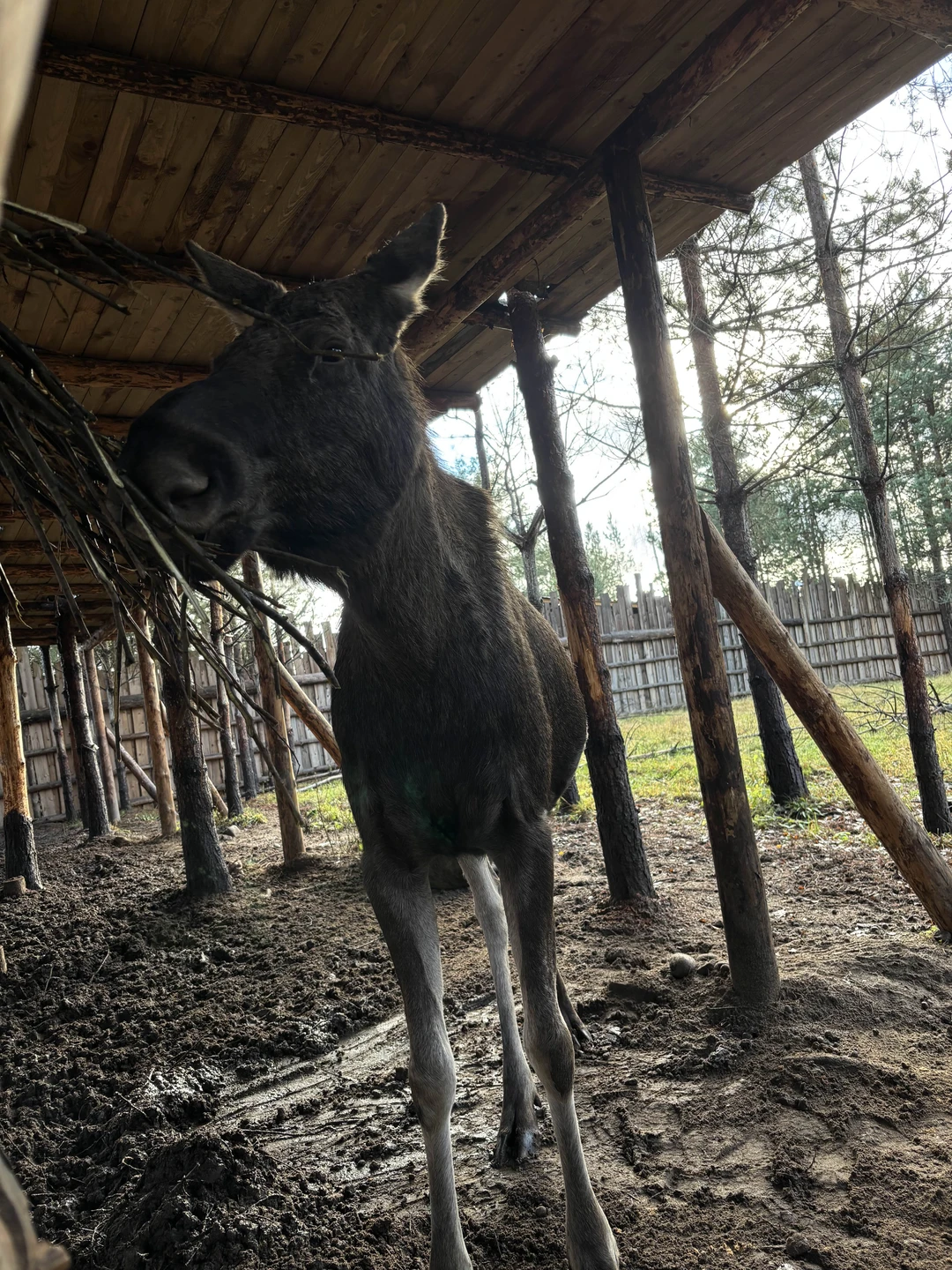 Очень интересно было послушать экскурсовода Надежду, отличная организация по таймингу, все успели посмотреть, поехала бы я