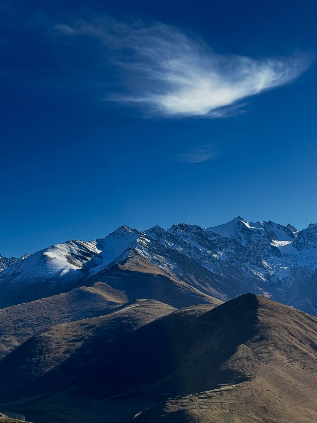 Дигория-это восторг❤️