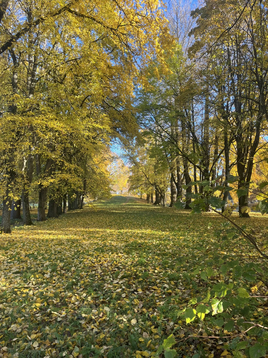 Экскурсия очень понравилась! Почерпнули много интересной,новой информации! Гид Елена- прекрасный экскурсовод,внимательна к историческим мелочам! Вся экскурсия