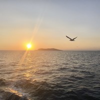 reviews img