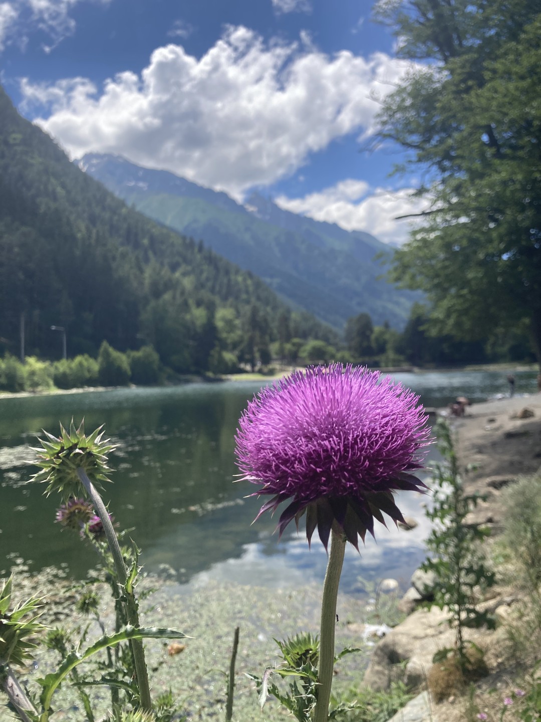 Прекрасная поездка, гибкая адаптация маршрута под наши интересы, интересные рассказы Владимира, не перенасыщенные, как бывает, а