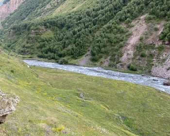 Возвращение в Тбилиси