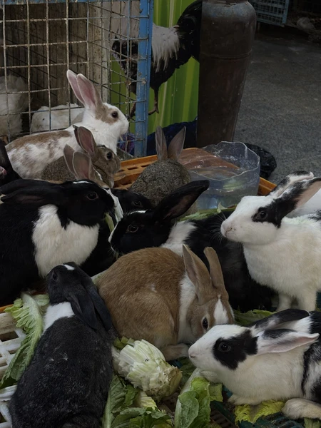 огромное спасибо гиду Екатерине! Очень приятная и неспешная экскурсия, которая познакомит вас поближе с культурой и