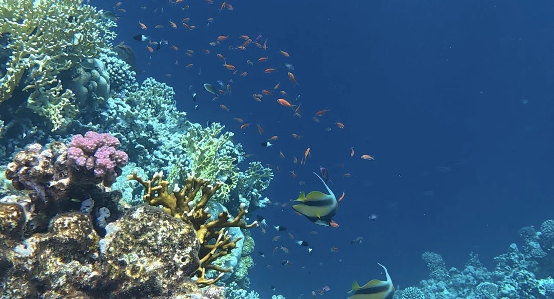 Большое спасибо Алисе за проявленную гибкость, поскольку мы запросили изменение программы и отправились из города в