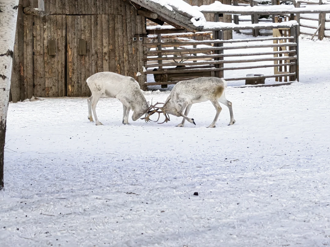 Вчера были в прекрасном путешествии с экскурсоводом Натальей. Нам очень повезло с гидом, поскольку мы кроме