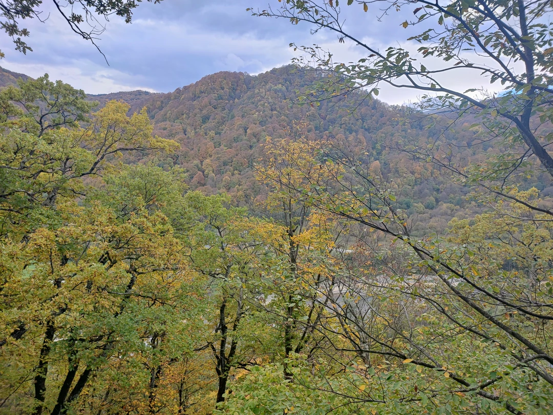 Экскурсия прошла великолепно. Гид очень хорошо всё рассказал. . Александр знаток местности. Прекрасный рассказчик. Очень комфортное